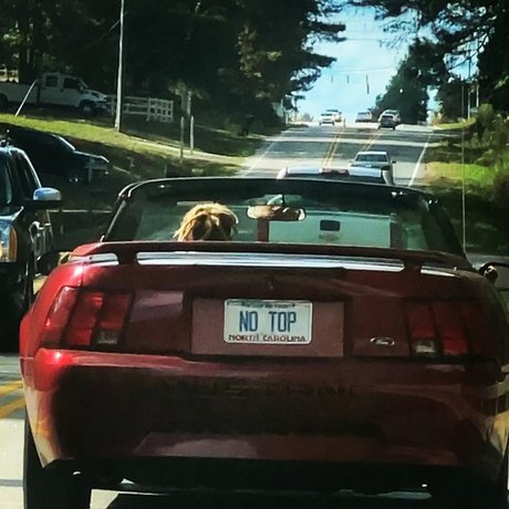 YZ TTG ENT model beautiful image