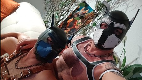 True Bare Bears naked pornstar gallery