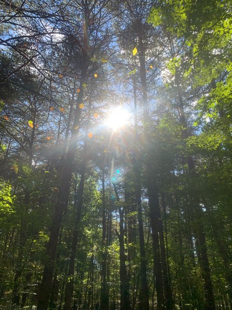 Marc Harrington hot star pictures