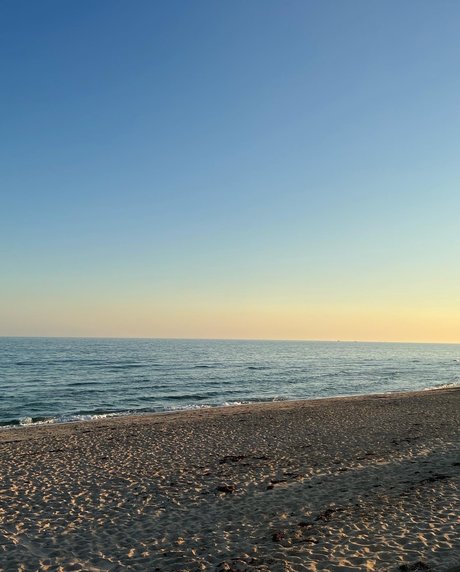 Forbidden Fantasee star hd galleries