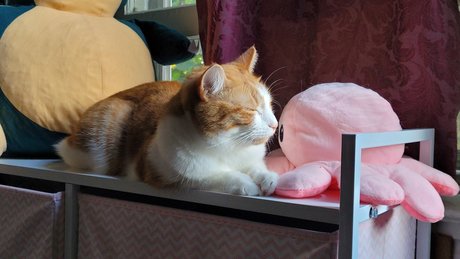 Zeus Lightning_ model perfect archive