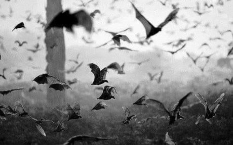 cosplay femboy onlyfans free sexy img