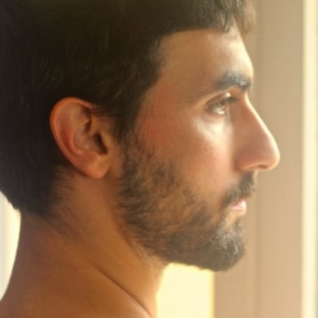 Ludo Merlin erotic pornstar picture