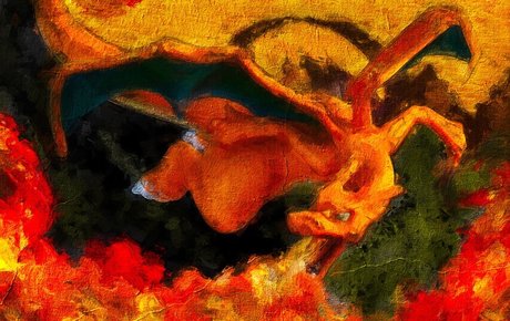 Ozzie model perfect pictures