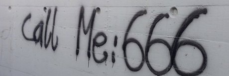 moth erotic star img