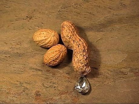 Ashtyn s Playground_ erotic actress img