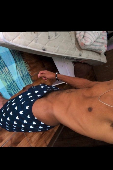 Dan oficial star adult gallery