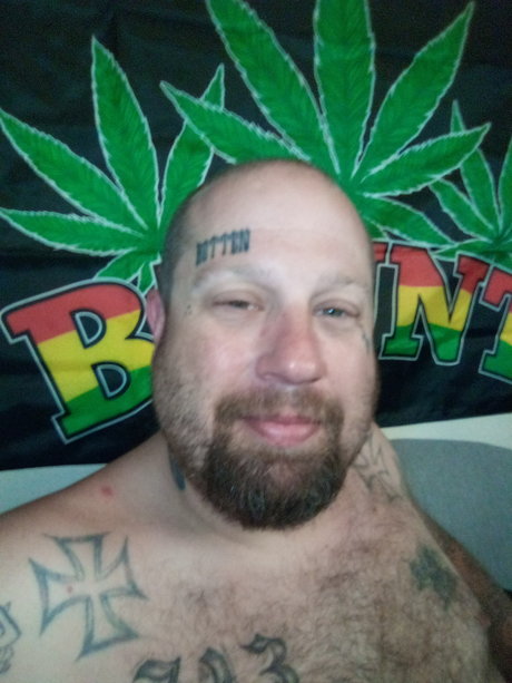 Mr Fox nice pornstar picture