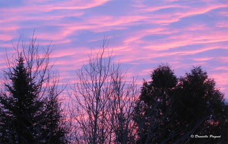 teen anal dildo onlyfans pornos pic