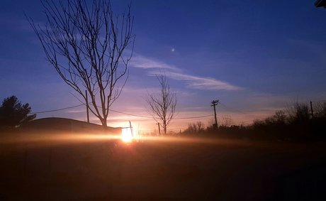 Frank n Weenie pretty model images