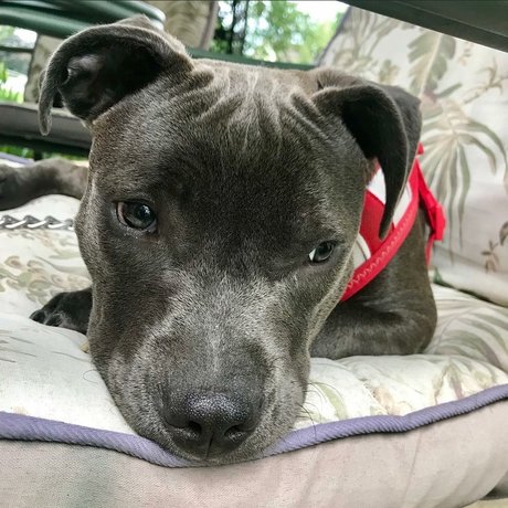 Frank n Weenie beautiful model photos