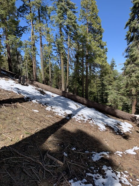 Damien and Lewis exclusive star archive