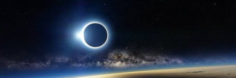 Harlequin Kyoshi model high quality pic