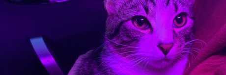 Fawad Khan hd pornstar pic