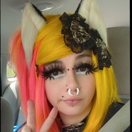 Meowlex perfect actress galleries