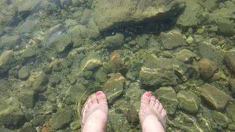 Fancy Free pornstar adult images