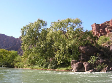 u3091749 beautiful actress pics