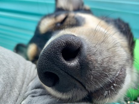 teen blowjob onlyfans sex pics