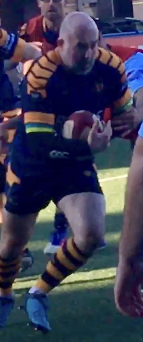 sol pornstar art gallery