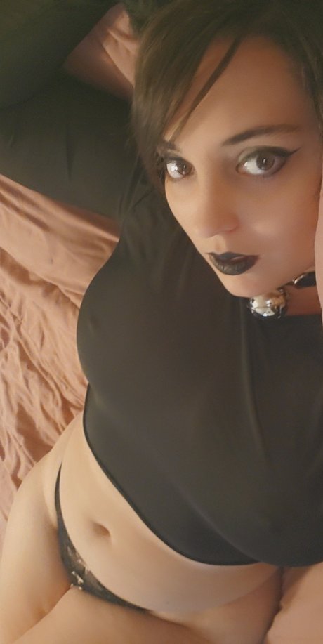 Fluff Off star hd galleries