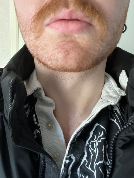 Pants Macabre high quality star picture