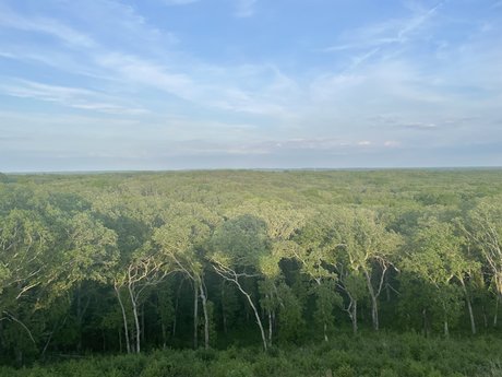 MisterG top actress gallery