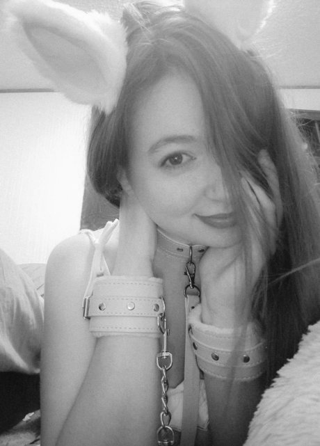 MeowShy high quality star gallery