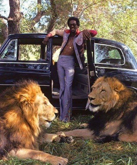 Freakyfeez star pretty pictures