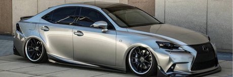 Rastaman018 xxx star gallery