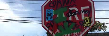 Everton Luis star pretty pics