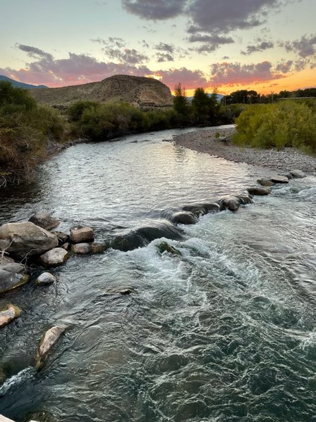 thick trans onlyfans adult picture