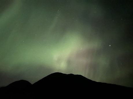 Two Wheeled Hobbit model pretty photos