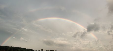 Muskox NSFW 18_ nude star galleries