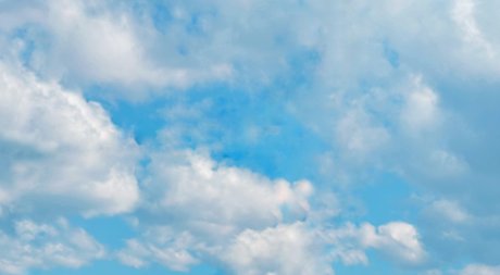 Oliv star pretty img