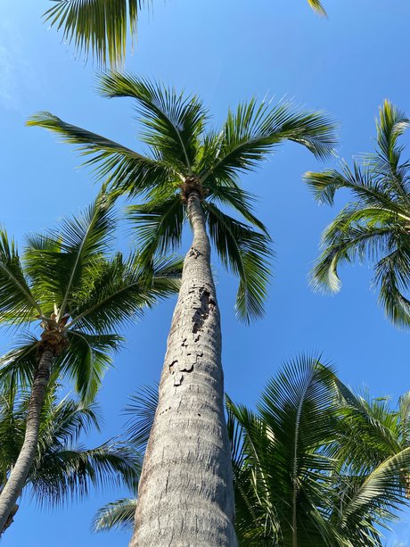 Arora star hot gallery