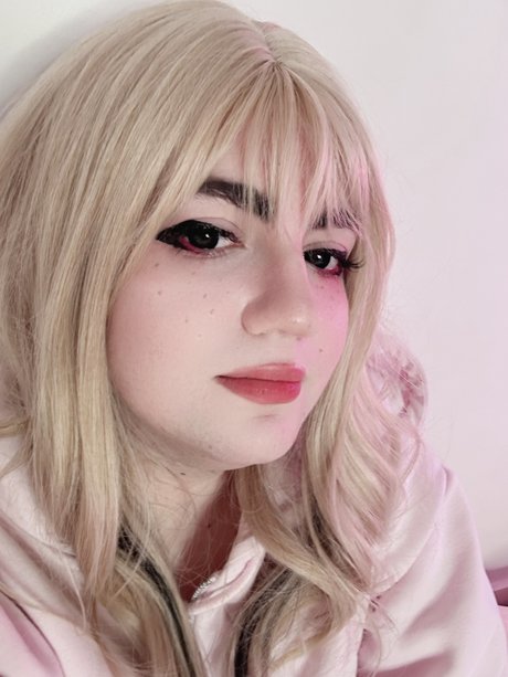 Nikola Strife star free photos