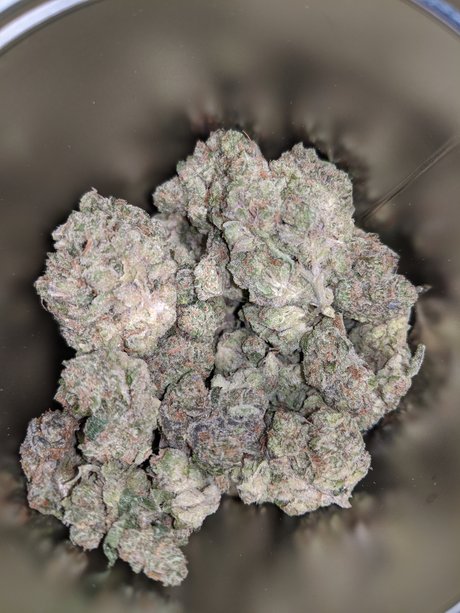 Jager1029 erotic pornstar galleries