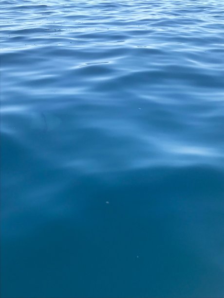 squat onlyfans hot photos