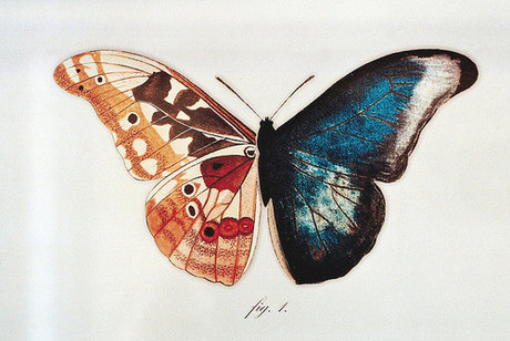 emo onlyfans art porn img