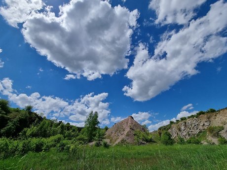 Najwi kszy Fan model picture