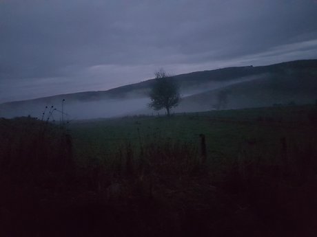 blowjob brunette onlyfans hot sex image