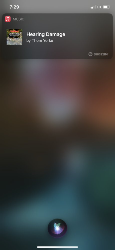 Xander C model perfect images