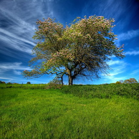 Lucifer amp amp Eve xxx pornstar archive