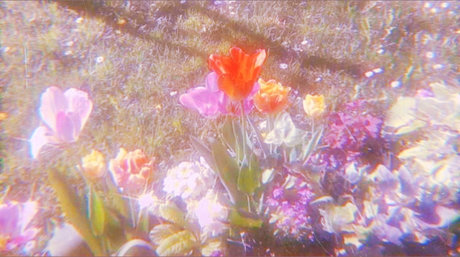 Tiffany Riker nudes model photo