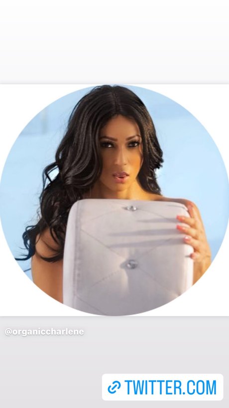 Chars House pretty star image