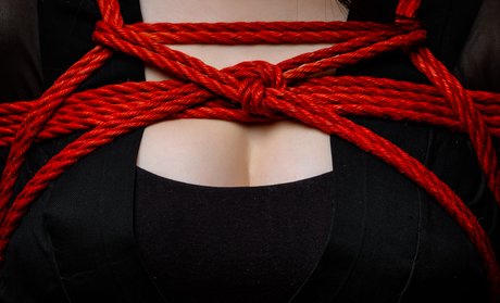 Ivan Grashyn nudes pornstar galleries