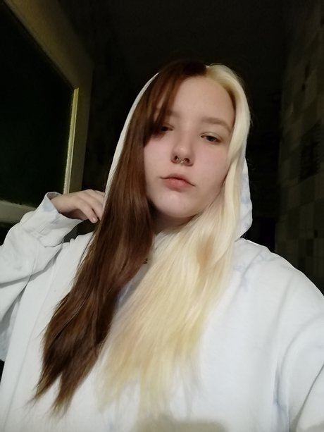 Onostasisa perfect star image