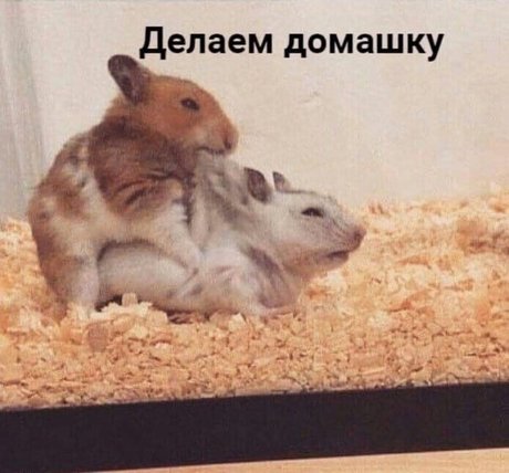 Onostasisa pornstar hot galleries