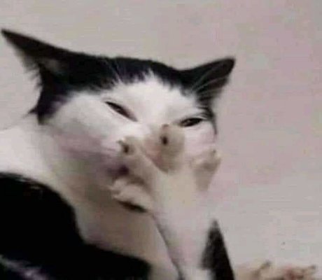 J U N I O R D_ pornstar pretty photos