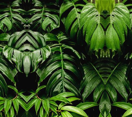 Paula Molina model adult images